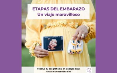 ETAPAS DEL EMBARAZO, UN VIAJE MARAVILLOSO.